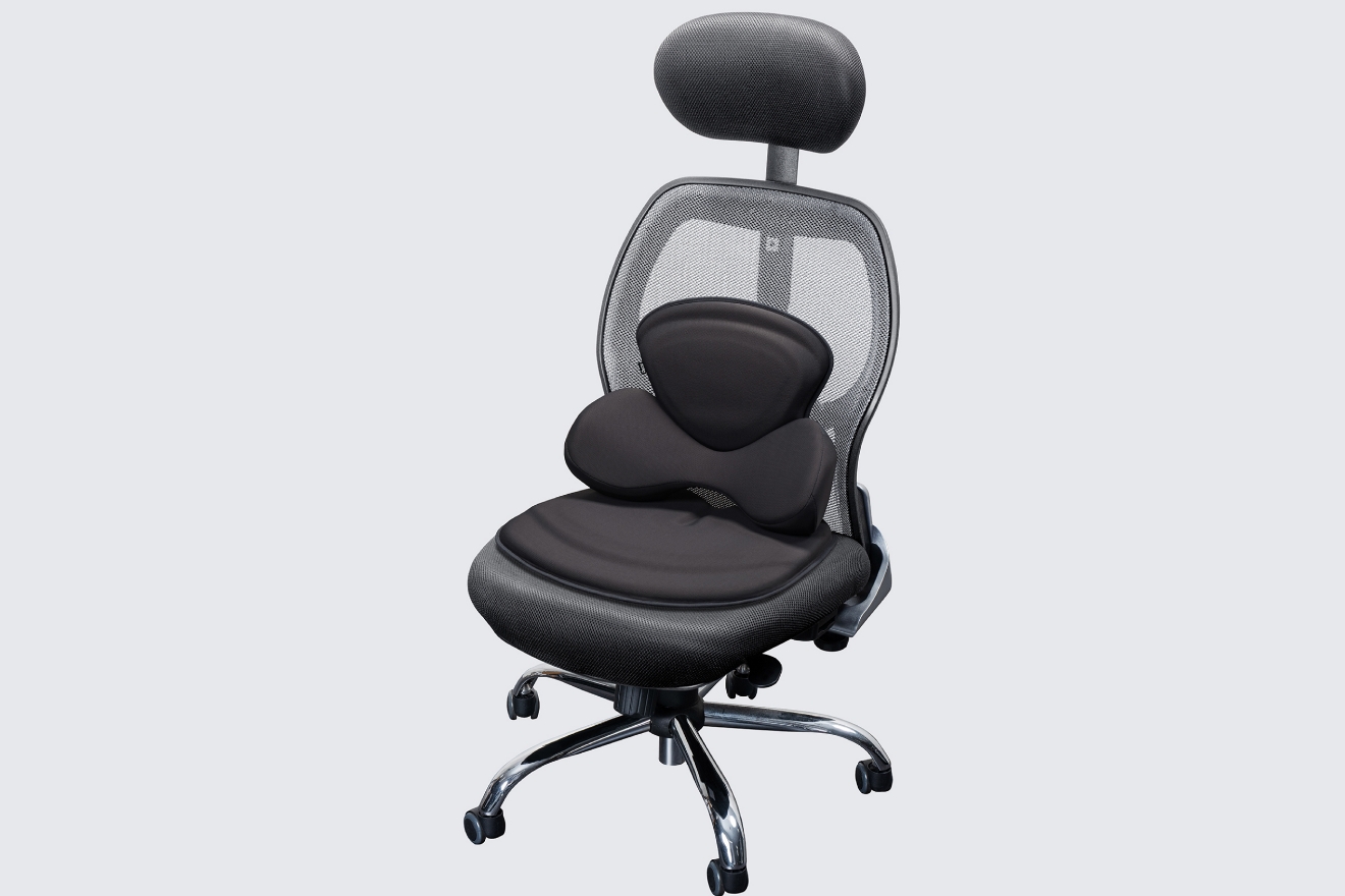 バッククッション＋シートクッションLタイプのセット