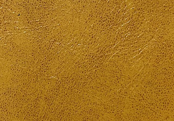 シャイン キャメル